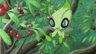 Celebi in the anime (Image via TPC)